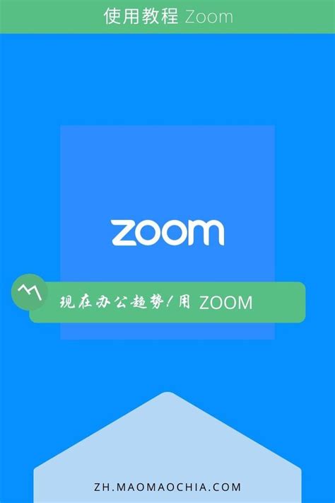 怎么使用Zoom？