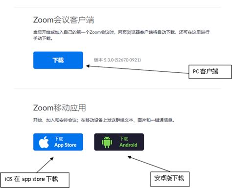 什么是Zoom下载？